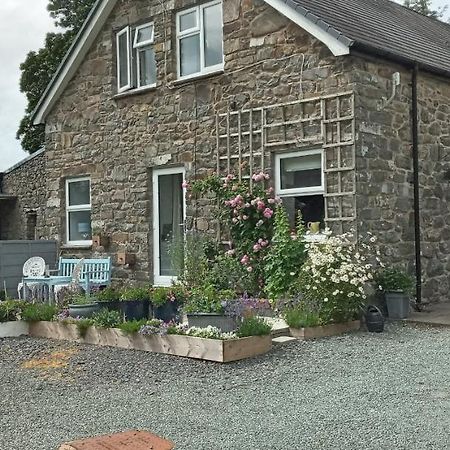 Pant Glas Barn Llanbrynmair Buitenkant foto