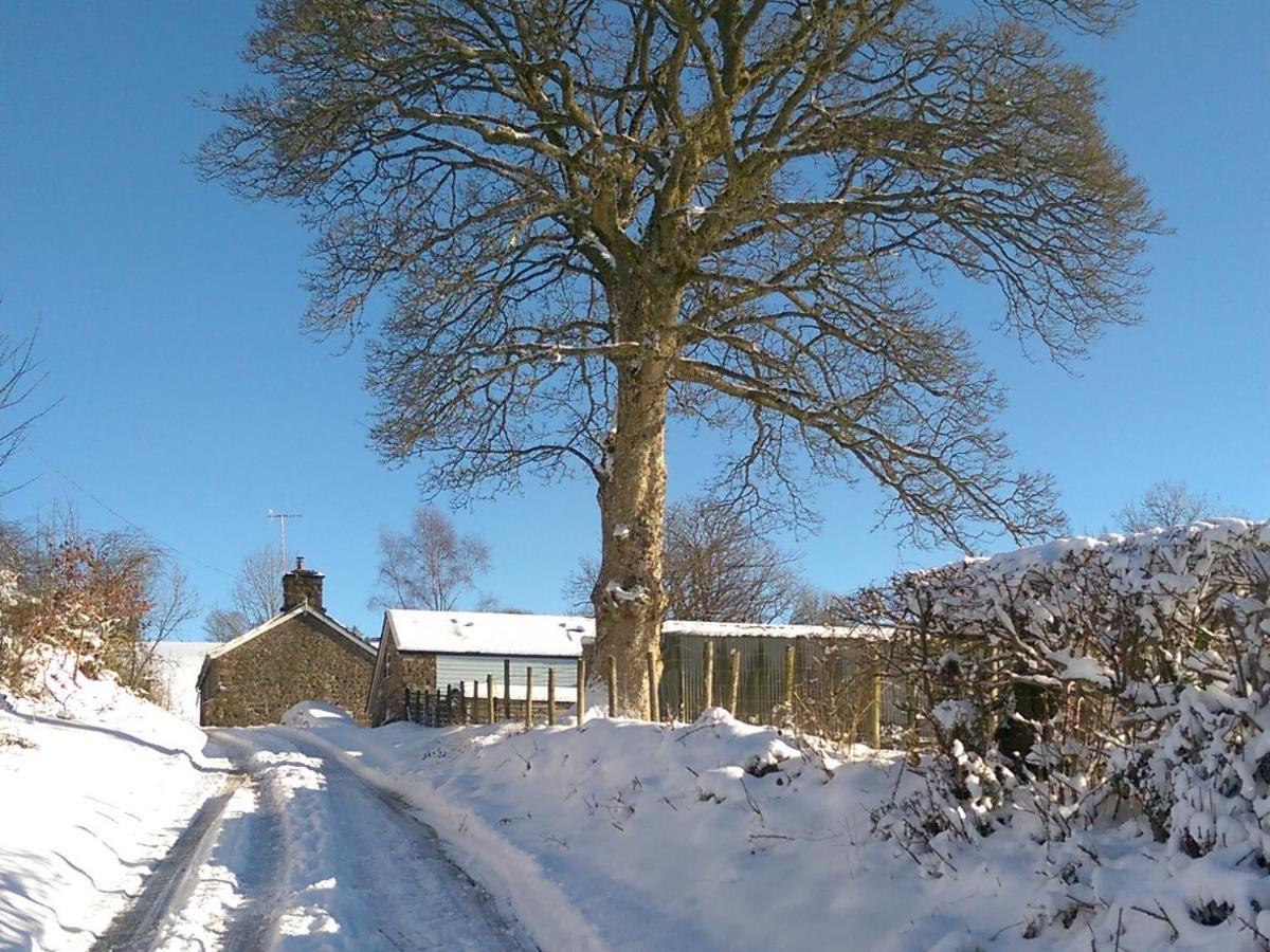 Pant Glas Barn Llanbrynmair Buitenkant foto