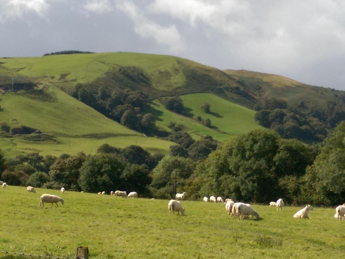 Pant Glas Barn Llanbrynmair Buitenkant foto